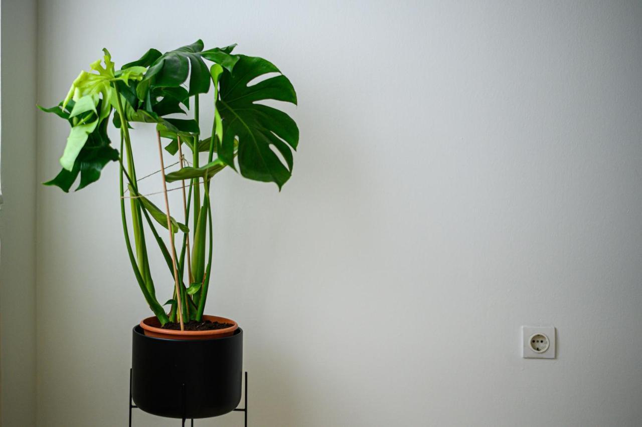 Oliva Apartment Каламата Екстериор снимка